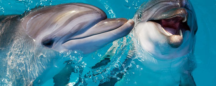 Clearwater Aquarium