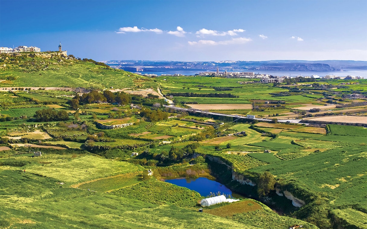 Gozo countryside with terraced fields and distant sea view on a guided tour.