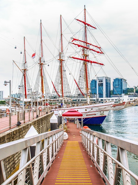 Royal Albatross docked at Singapore harbor with city skyline in background.