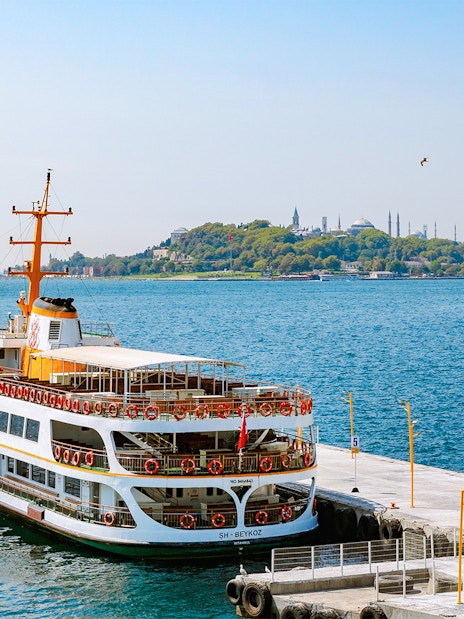 Ferry docked at Princes' Islands pier with Istanbul skyline in the background.