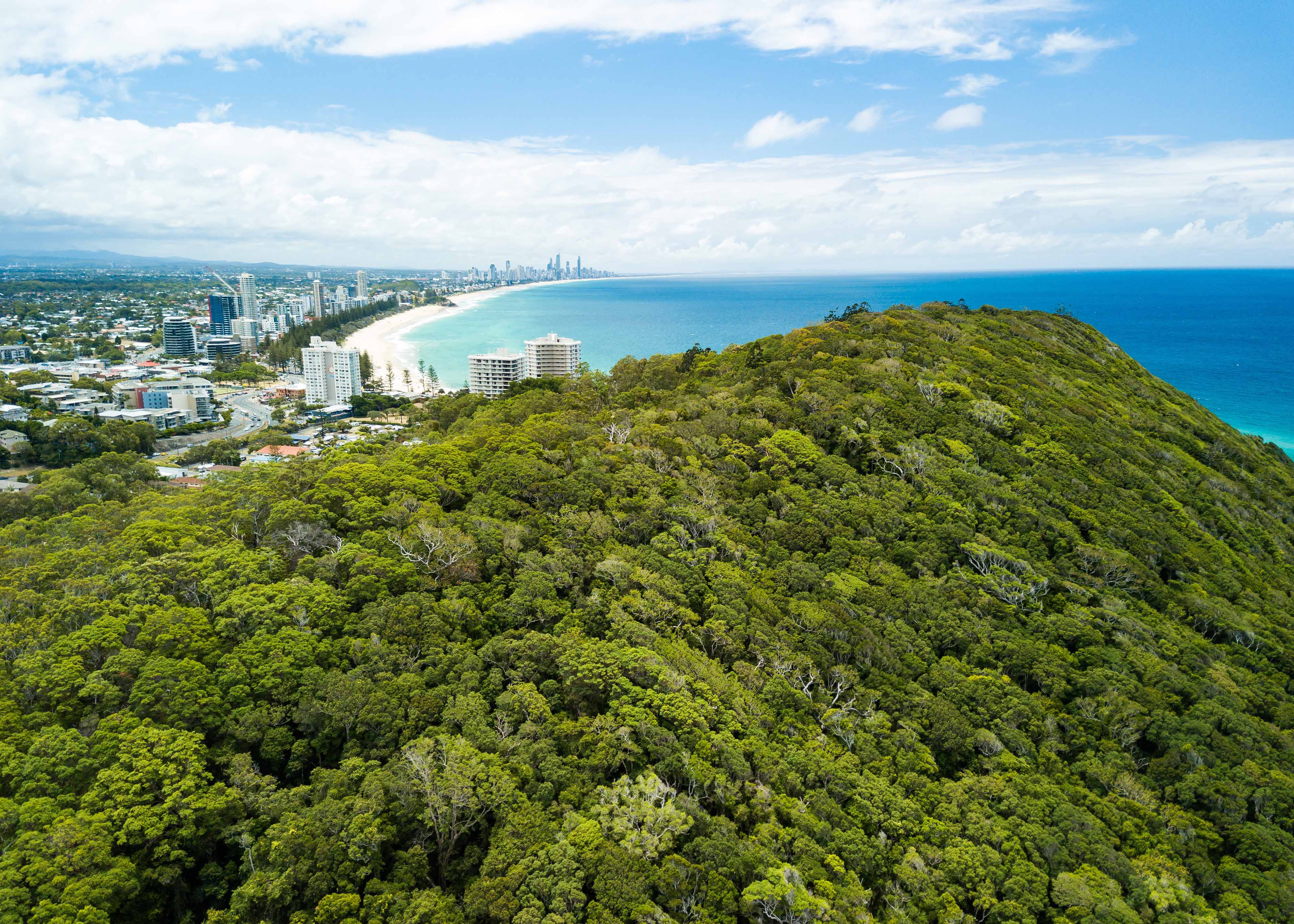 Things to do in Gold Coast