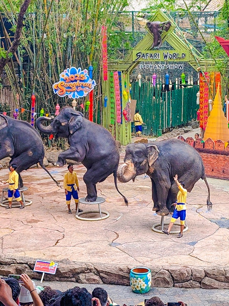Elephants performing at Safari World show with trainers in front of a colorful backdrop.