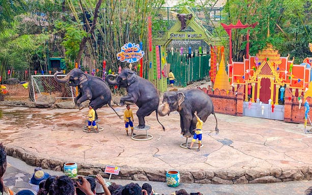 Elephants performing at Safari World show with trainers in front of a colorful backdrop.