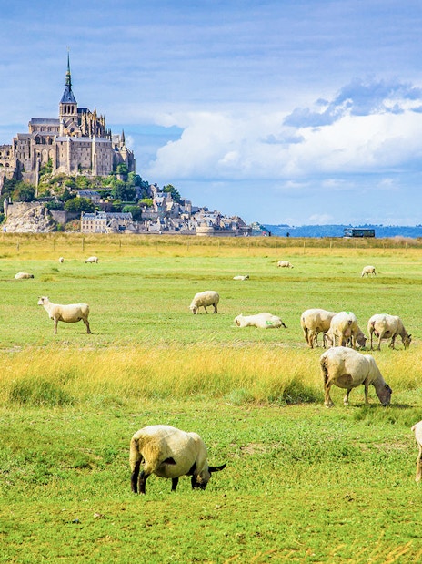 Mont Saint-Michel with grazing sheep in foreground, Normandy, France.