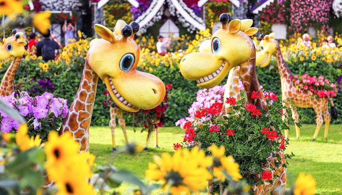 Giraffe sculptures with flowers at Dubai Miracle Garden.