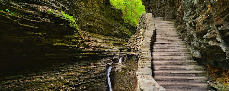 Watkins Glen State Park Ticket