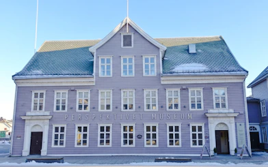 Tromso Private Old Town Walking Tour with Northern Lights Cruise