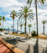 Congress/Promenade des Anglais (South)