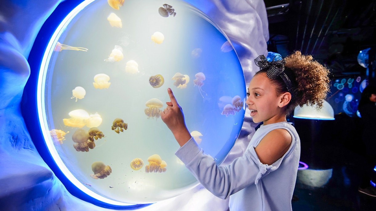 Visitors exploring SEA LIFE London Aquarium with diverse marine life exhibits.
