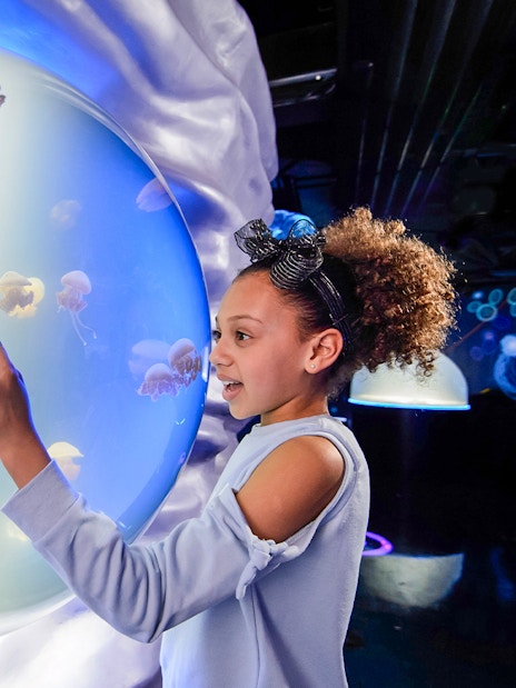 Child interacting with jellyfish exhibit at SEA LIFE London.