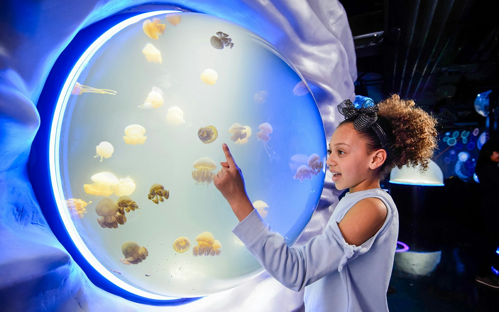 Child interacting with jellyfish exhibit at SEA LIFE London.