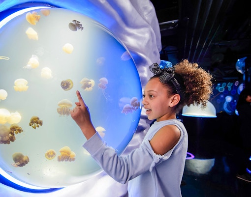 Visitors exploring SEA LIFE London Aquarium with diverse marine life exhibits.