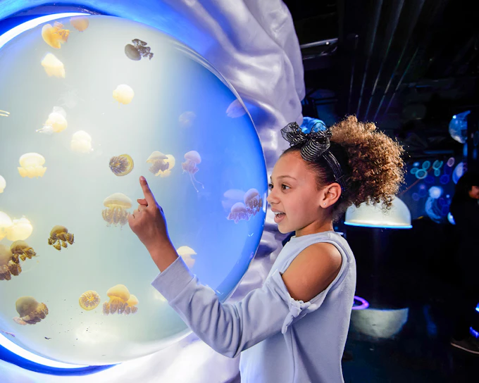 SEA LIFE London Aquarium: Deluxe Package