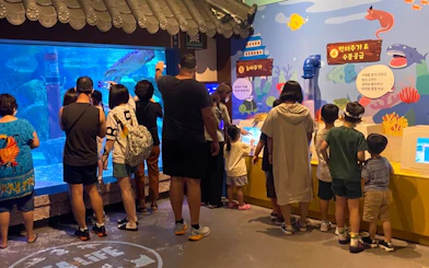 Visitors observing marine life at SEA LIFE Aquarium Busan.