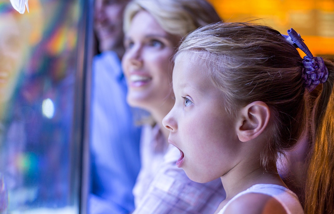 Child amazed by marine life at SEA LIFE Sydney aquarium.