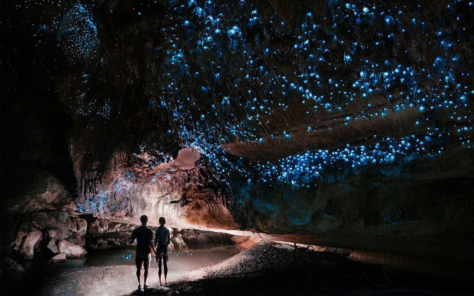 Visitors exploring Waitomo Glowworm Caves illuminated by bioluminescent glowworms.