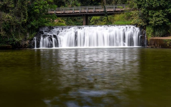 taste of the tablelands-2