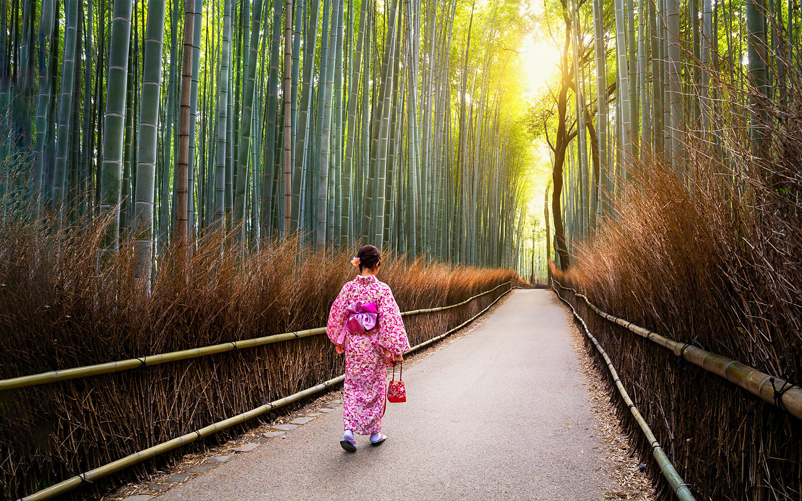Person in kimono walking through Arashiyama Bamboo Grove, Kyoto.