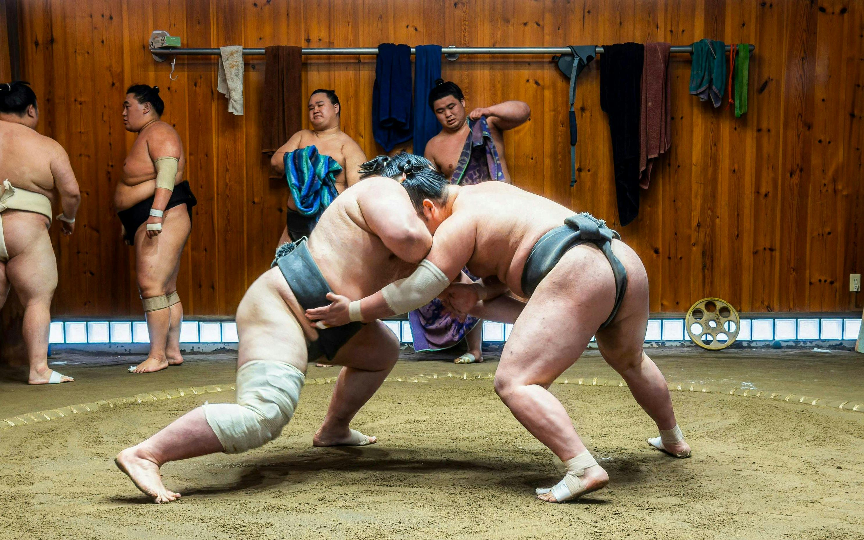 Sumo wrestlers practicing in a traditional dojo during a morning session in Asakusa.