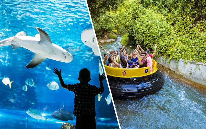 Seville Aquarium shark tank and Isla Mágica water ride with excited visitors.