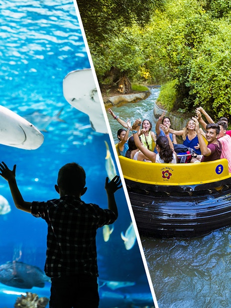 Seville Aquarium shark tank and Isla Mágica water ride with excited visitors.