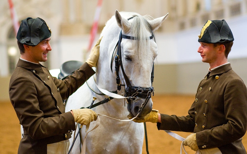 Two riders preparing a white horse at the Spanish Riding School.