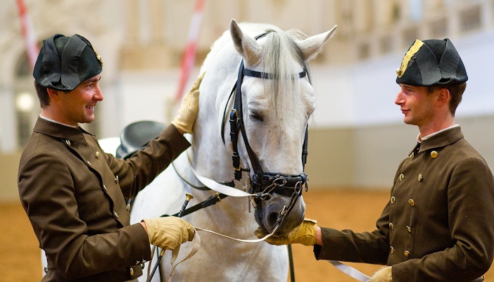 Apresentações de Lipizzaner na Escola de Equitação da Espanha