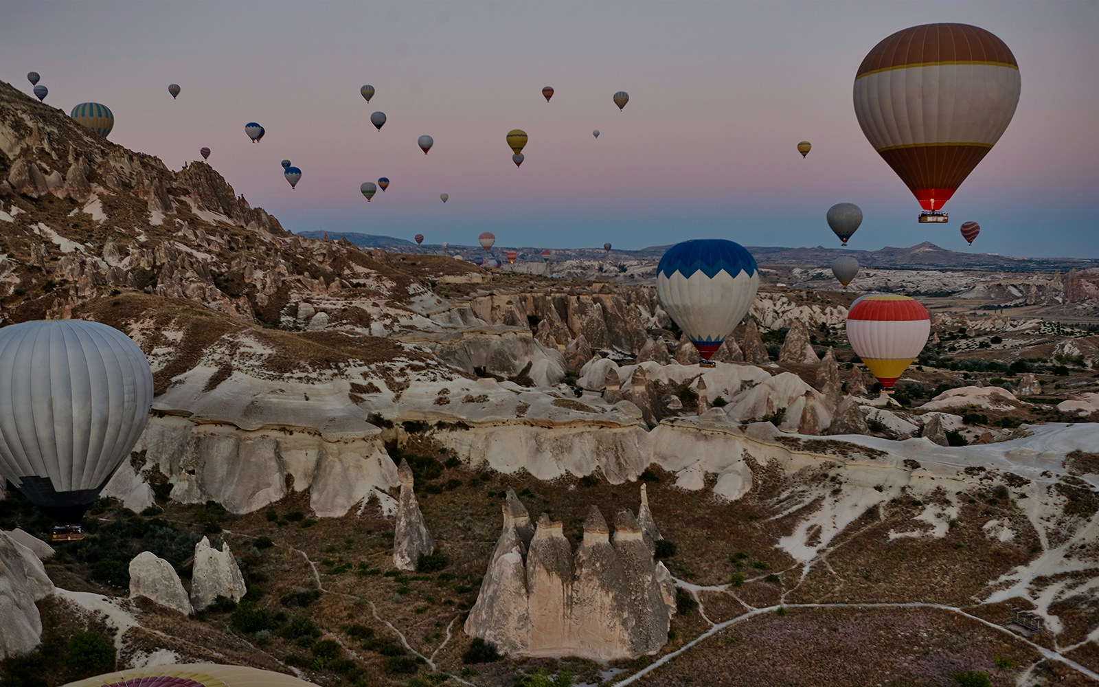 Rose Valley