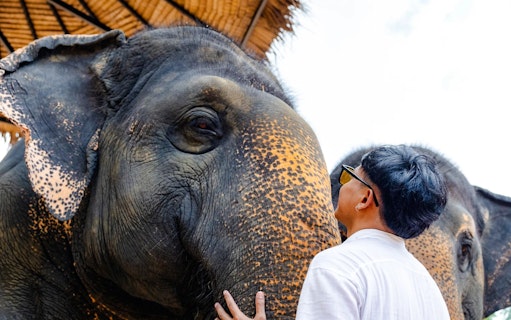 flying hanuman: 28 platform zipline and elephant sanctuary visit
-5