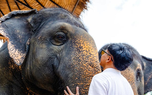 flying hanuman: 28 plattform 9¾™ zipline och besök på elephant sanctuary
-5