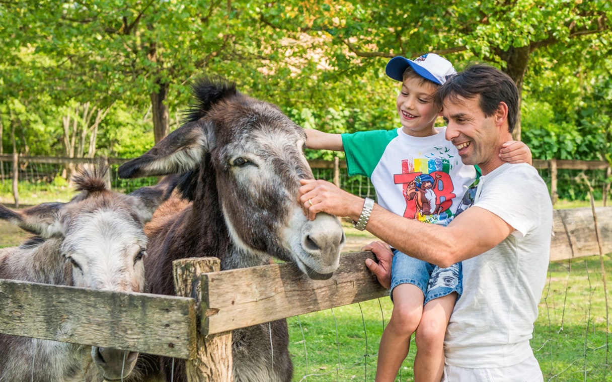 Father and son petting donkeys at Parco Giardino Sigurtà, Italy.