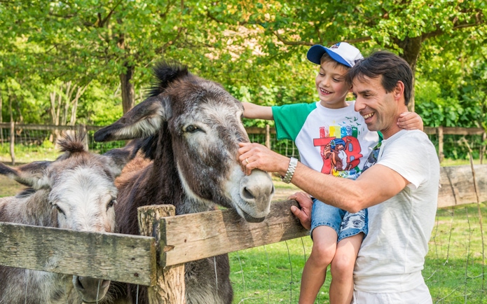 Father and son petting donkeys at Parco Giardino Sigurtà, Italy.