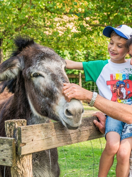 Father and son petting donkeys at Parco Giardino Sigurtà, Italy.