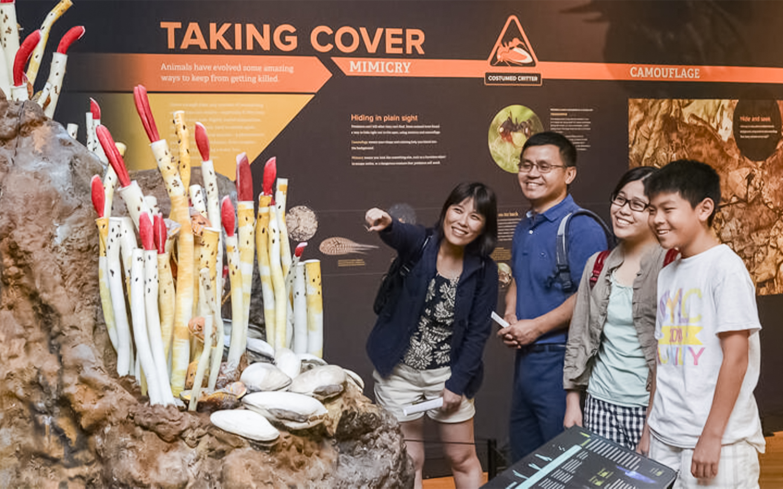 Visitors and members during exculsive hours at the Amercian Museum of Natural History