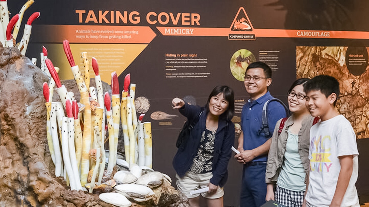 Visitors and members during exculsive hours at the Amercian Museum of Natural History