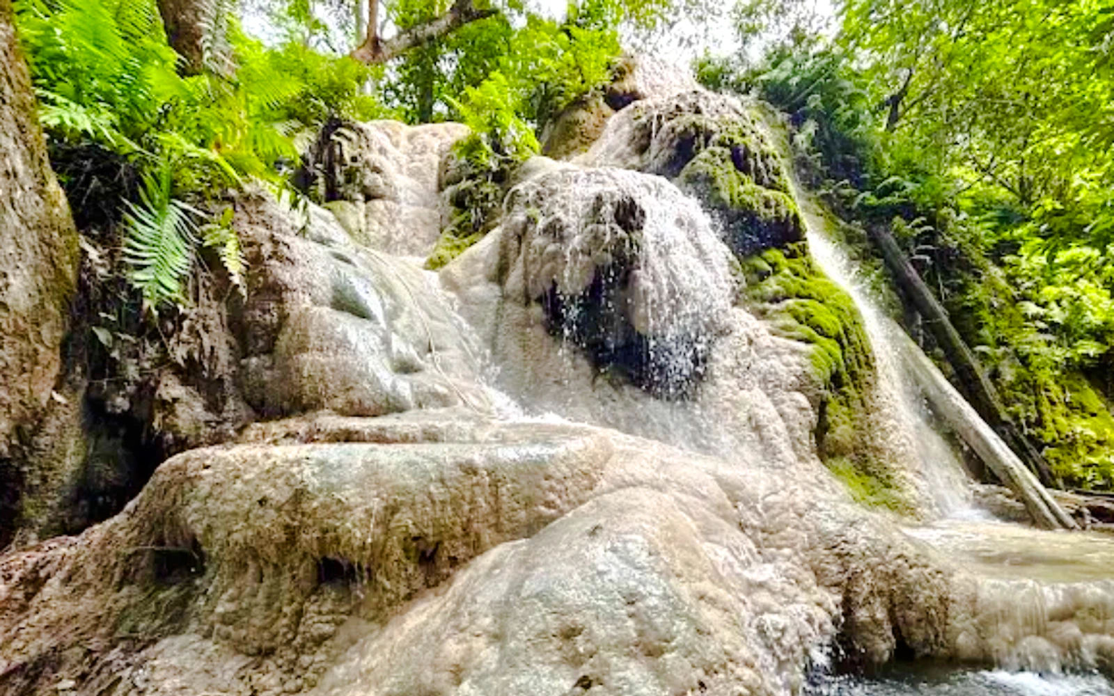 From Chiang Mai: Sticky Waterfall Tour with Private Driver Image 2