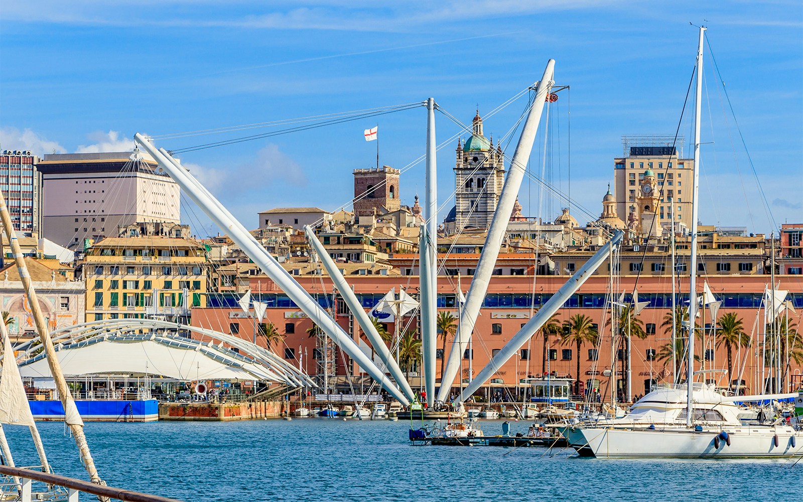 Aquarium of Genoa