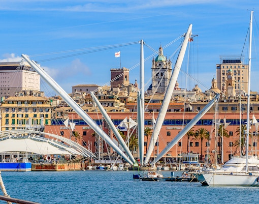 Genoa Aquarium - Bigo