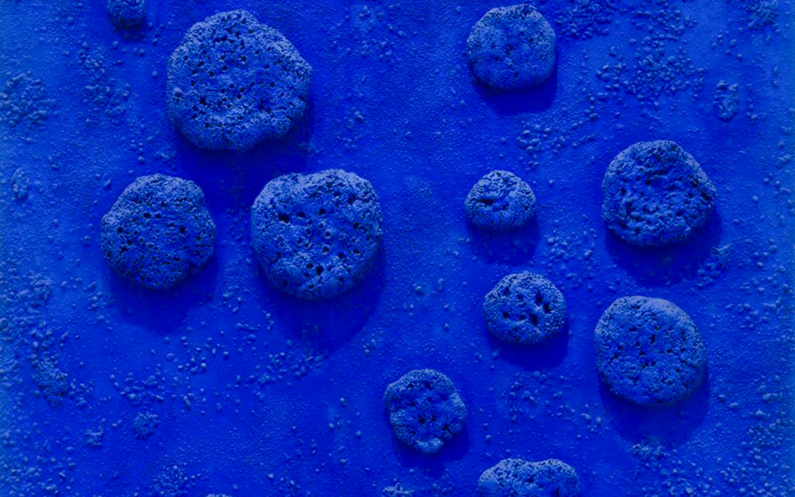 Yves Klein's L’Accord Bleu (RE 10) at Stedelijk Museum, Amsterdam, featuring textured blue surface.