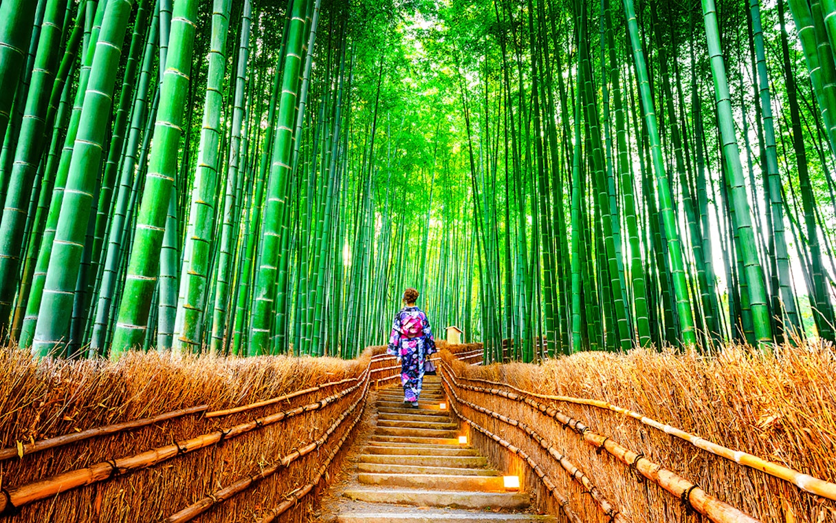 Person walking through Sagano Bamboo Grove in Kyoto, Japan.