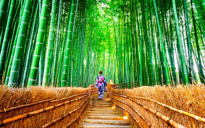 Person walking through Sagano Bamboo Grove in Kyoto, Japan.
