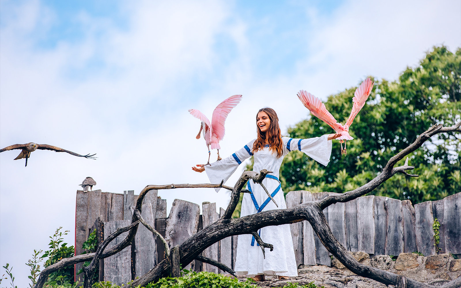 Woman in medieval costume with birds at Puy du Fou, France.