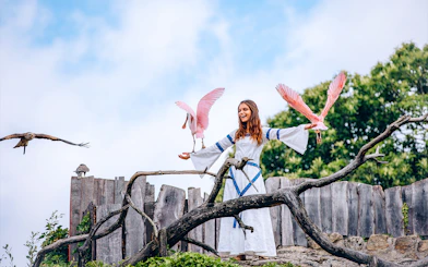 Woman in medieval costume with birds at Puy du Fou, France.