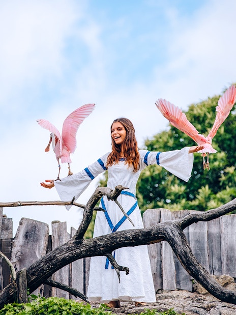 Woman in medieval costume with birds at Puy du Fou, France.