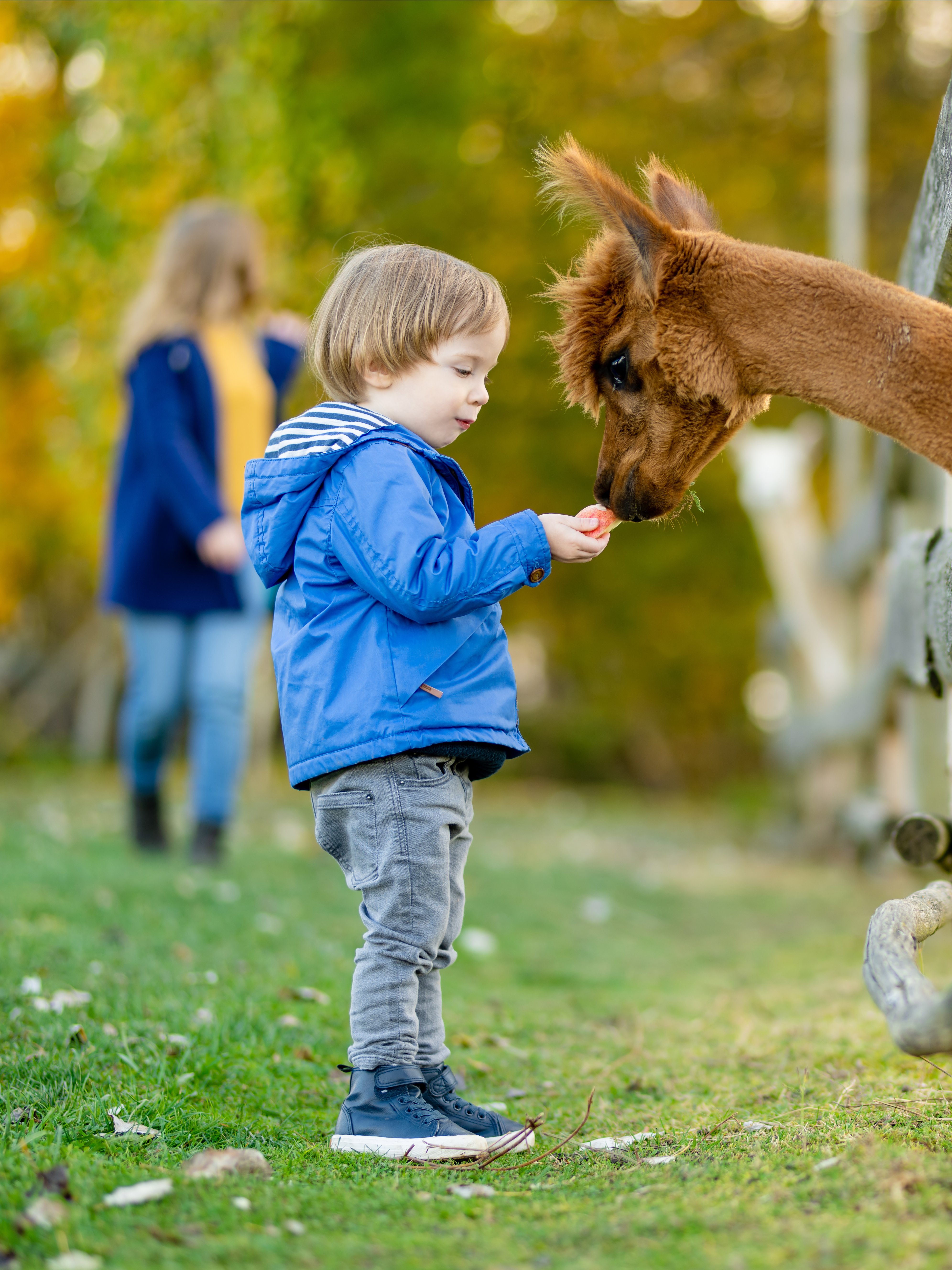 Dairyland Farm Theme Park