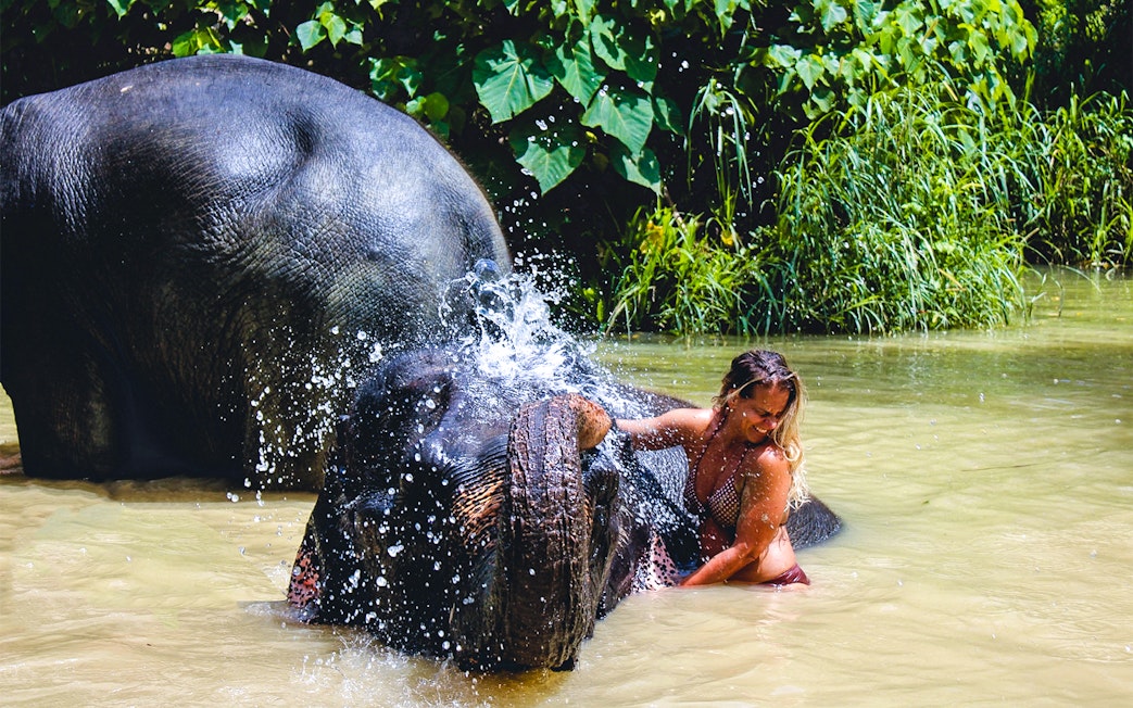 Elephant bathing with visitor at Ao Nang Elephant Sanctuary, Thailand.