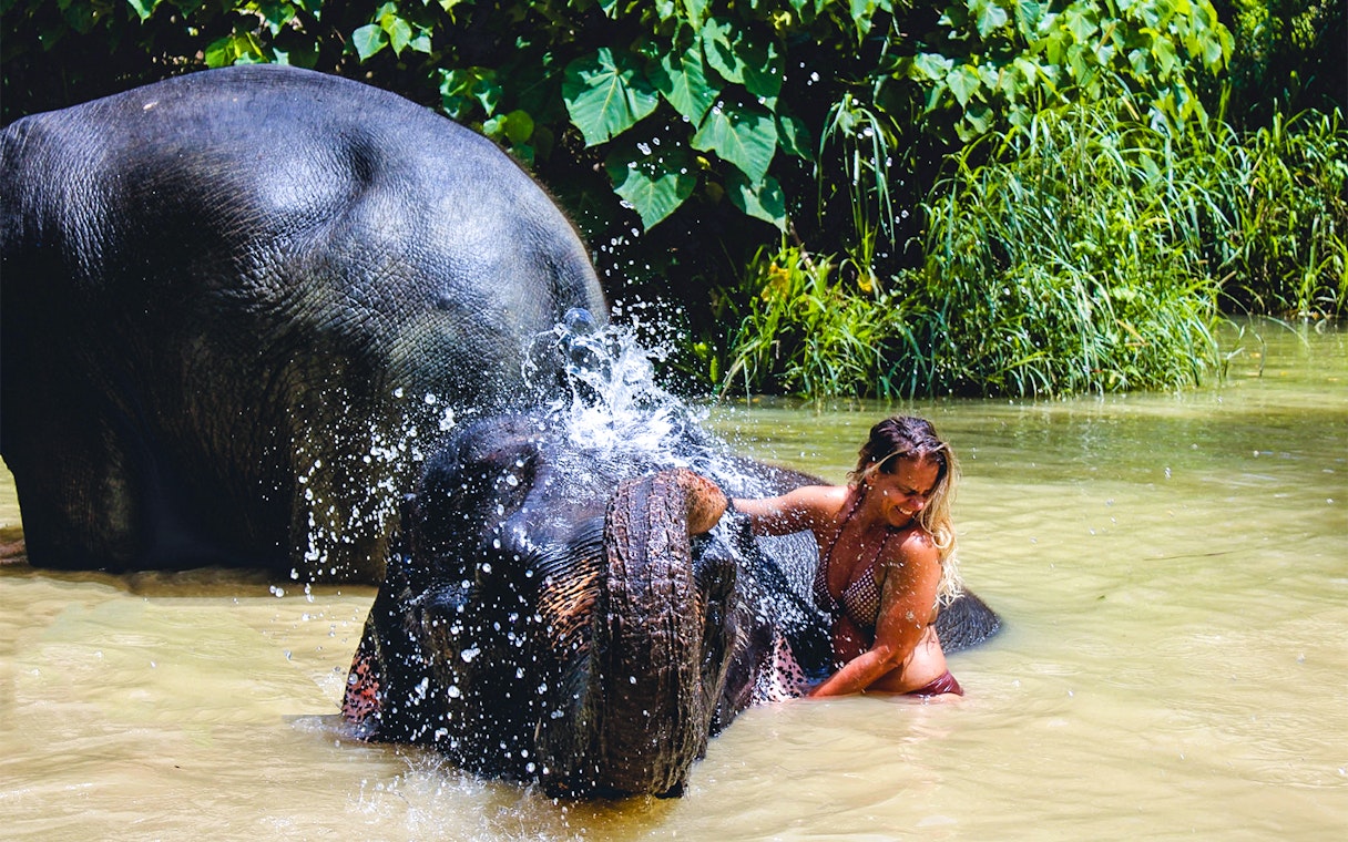 Elephant bathing with visitor at Ao Nang Elephant Sanctuary, Thailand.