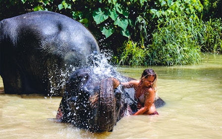 Ao Nang Elephant Sanctuary Half-Day Guided Tour with Hotel Transfers