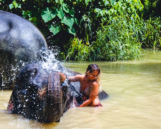 Ao Nang Elephant Sanctuary Half-Day Guided Tour with Hotel Transfers