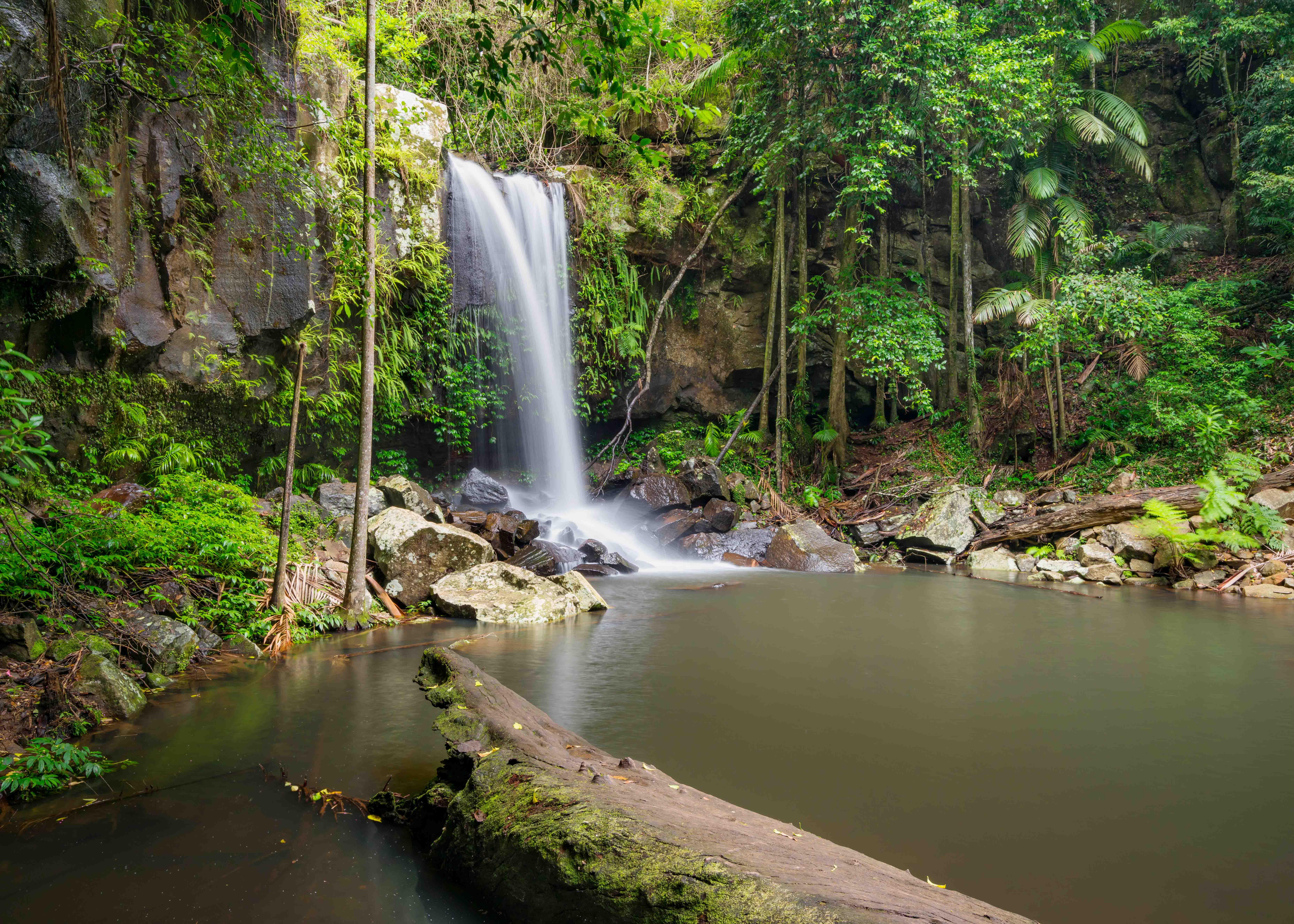 Things to do in Gold Coast